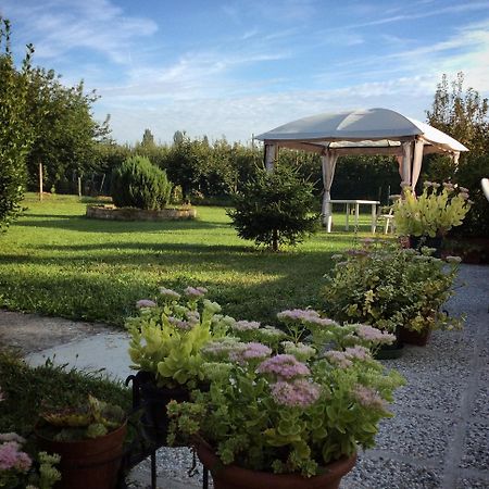 I Due Orfici Bed & Breakfast Cona  Екстериор снимка