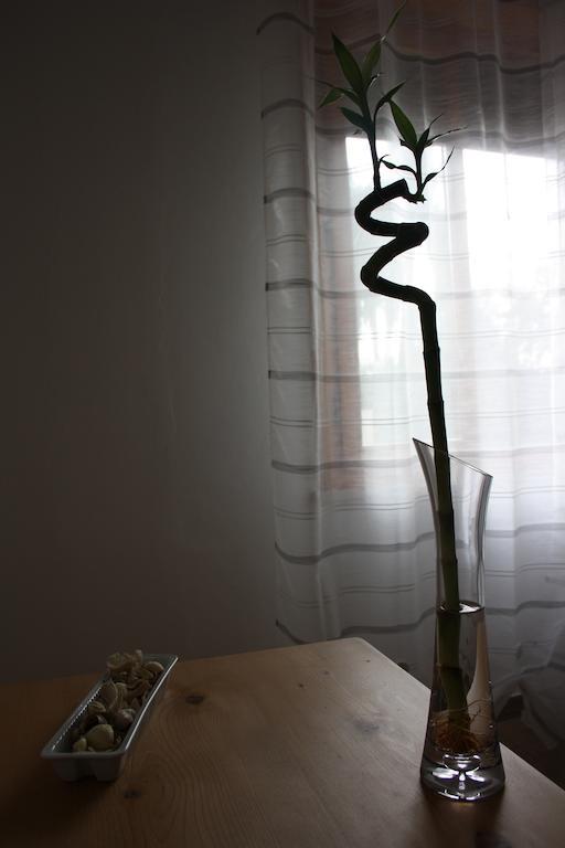 I Due Orfici Bed & Breakfast Cona  Екстериор снимка